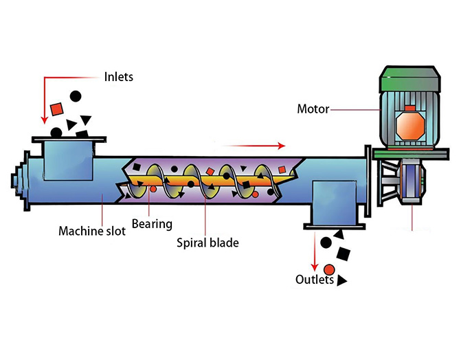 Screw-Conveyor2